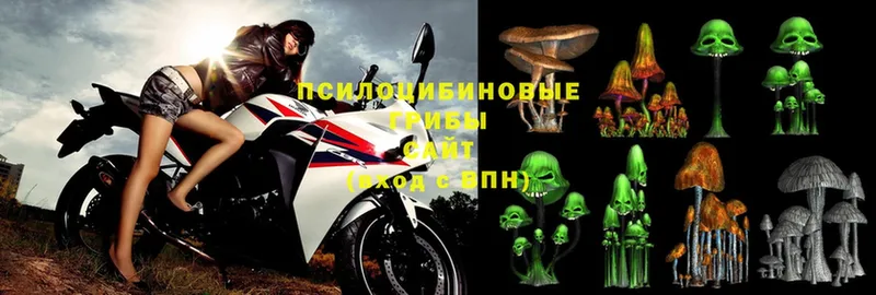 купить наркотик  Лангепас  кракен ссылки  Галлюциногенные грибы Psilocybe 